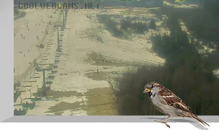 Webcam overlooking ski slope №7a, Bukovel