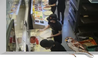 Webcam in the Dodo Pizza pizzeria on Pobedy Street, Samara