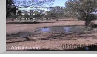Elephant Plains Webcam
