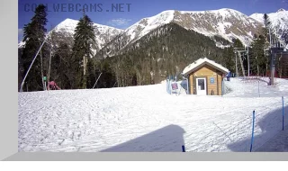 «Shelter Fir» Webcam