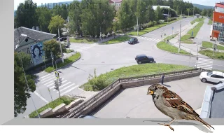 Webcam at the intersection of Ostrovskogo and Kalinina streets, Tryokhgorny
