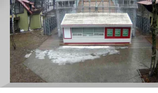 Park «Sokolniki» webcam: Cinema «Pioneer»