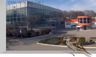 Sokolniki Park Webcam: Contemporary Museum of Calligraphy