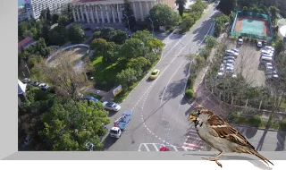 Webcam at the crossroads of Ordzhonikidze and Theatre